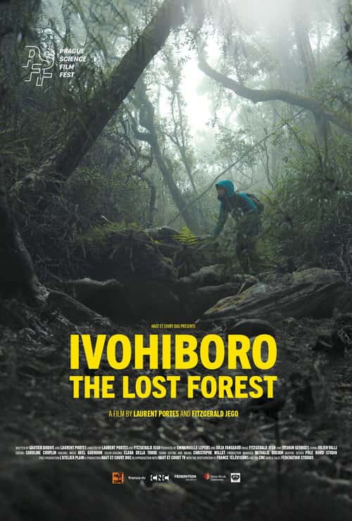 Ivohiboro, The Lost Forest poster