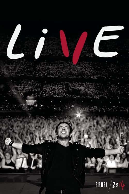 Il était une fois... Patrick Bruel poster