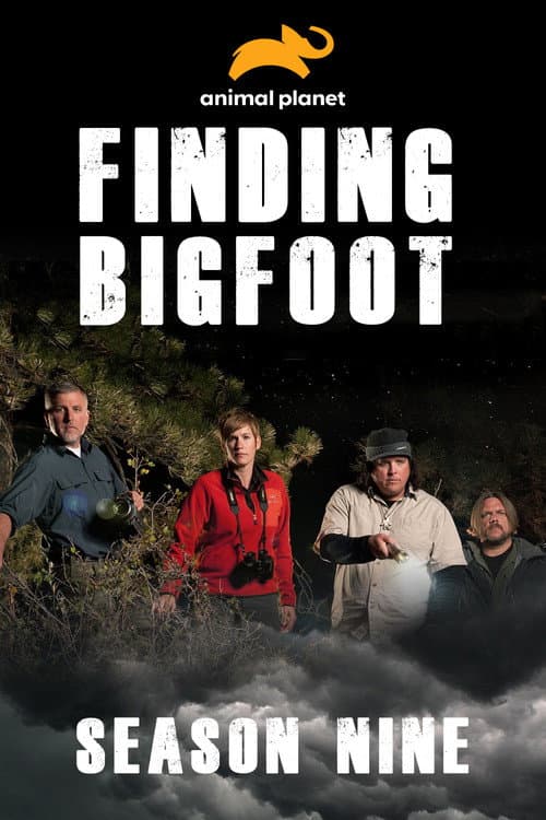 Season 9 poster
