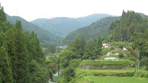 The Trail to Chiyanoki: Mountain Biking Revives Village still