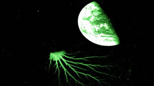 Mystery Space Squid still