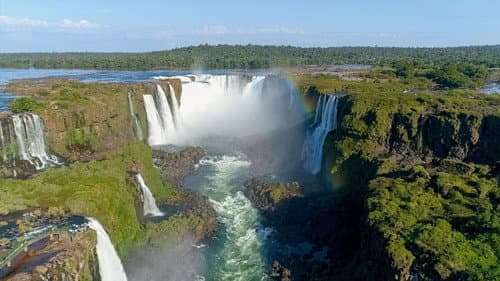 Iguazu Falls — Biodiversity Treasure still