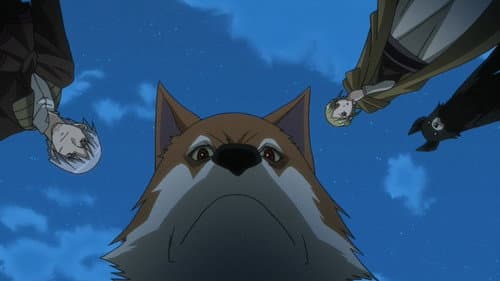 Wolf and a New Beginning still