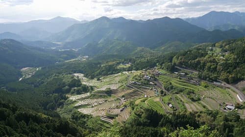 Kumano Kodo: Fast Hiking to Nirvana still