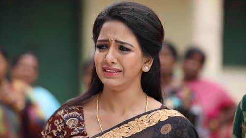 Nandini, Chinnathambi's Break Up still