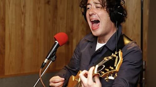 Wombats still