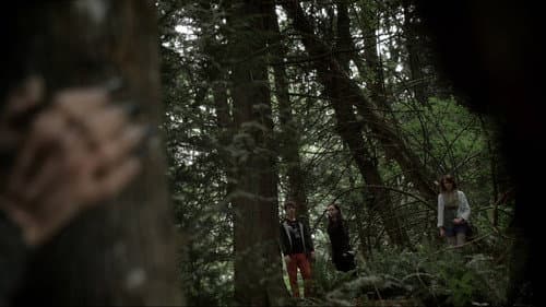 Lovecraft's Woods still