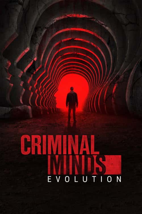 Criminal Minds poster