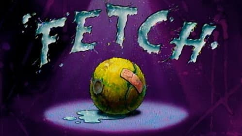 Fetch still