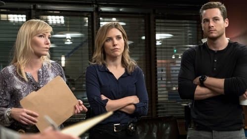 Chicago Crossover (II) still