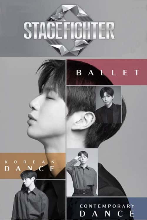 Stage Fighter poster
