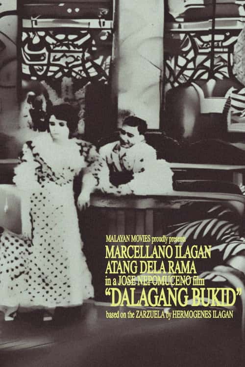 Country Maiden poster