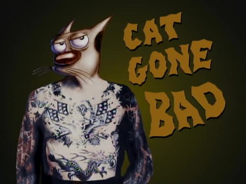 Cat Gone Bad still