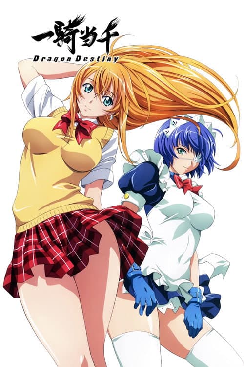 Dragon Destiny poster
