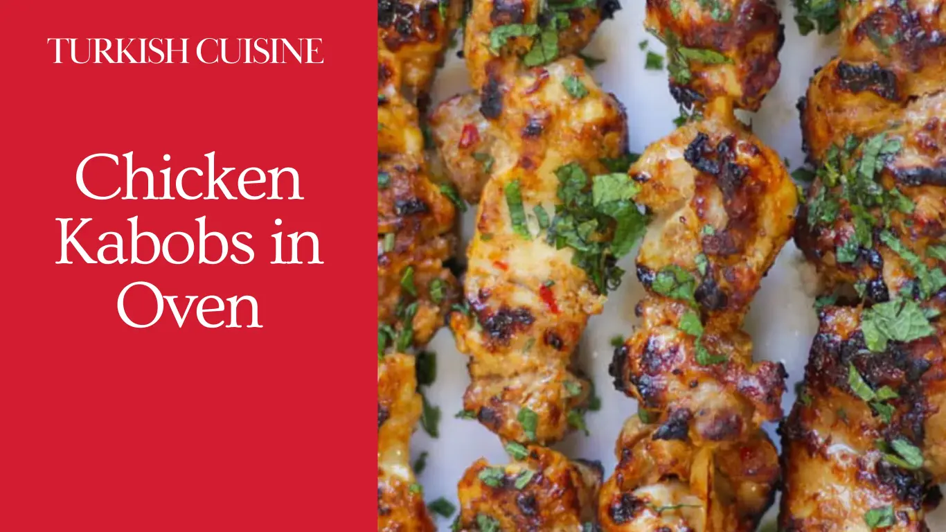 Chicken Kabobs in Oven Turkish Cuisine